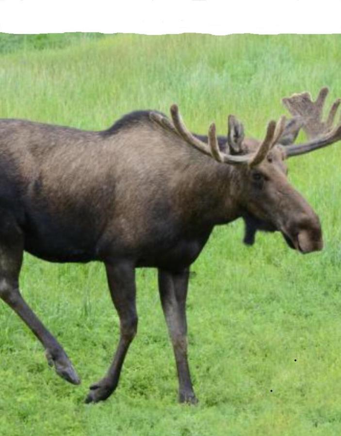 Stuga Utanfoer Fjaellbacka Zewnętrze zdjęcie